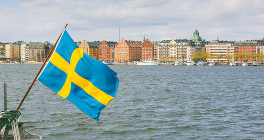 The Rise of Online Shopping in Sweden: Key Statistics and Trends